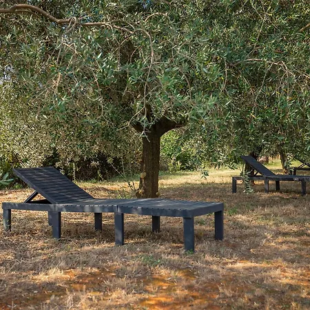 Auri Holiday home Pula