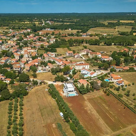 Auri * Pula